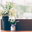Vensterbank decoratie