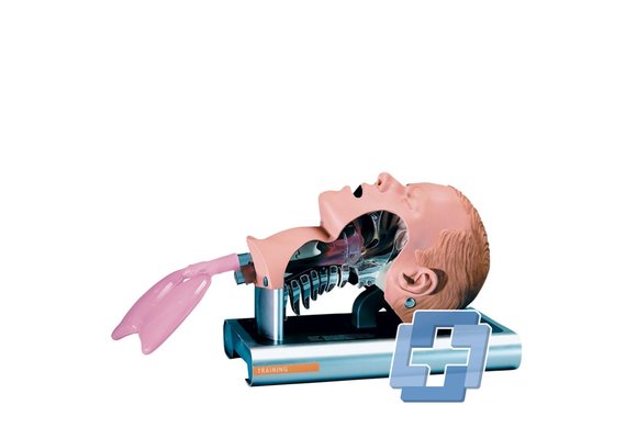 Ambu Airway management trainer