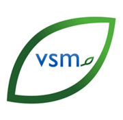 VSM