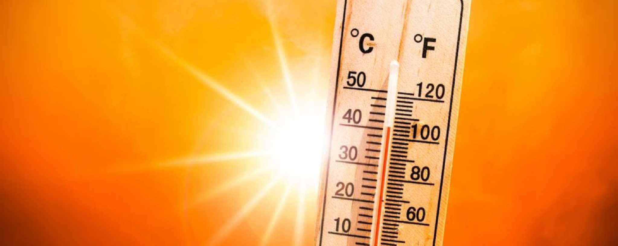 Uw werkplek en tropische dagen