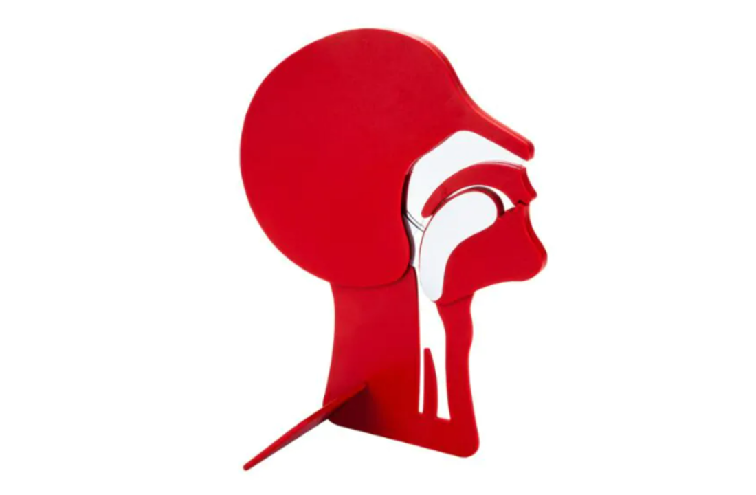 Laerdal dwarsdoorsnede hoofd