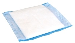 Evercare absorbierender Verband 10x10cm unsteril (10 Stück)