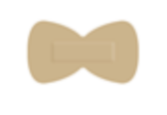 Protectaplast Universal huidskleurige PE pleisters 25 x 72 mm (100 stuks)