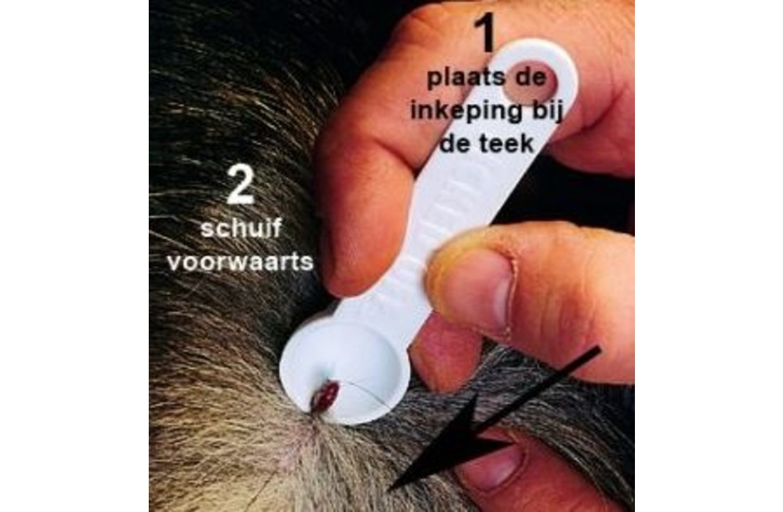Teekweg Tekenlepel