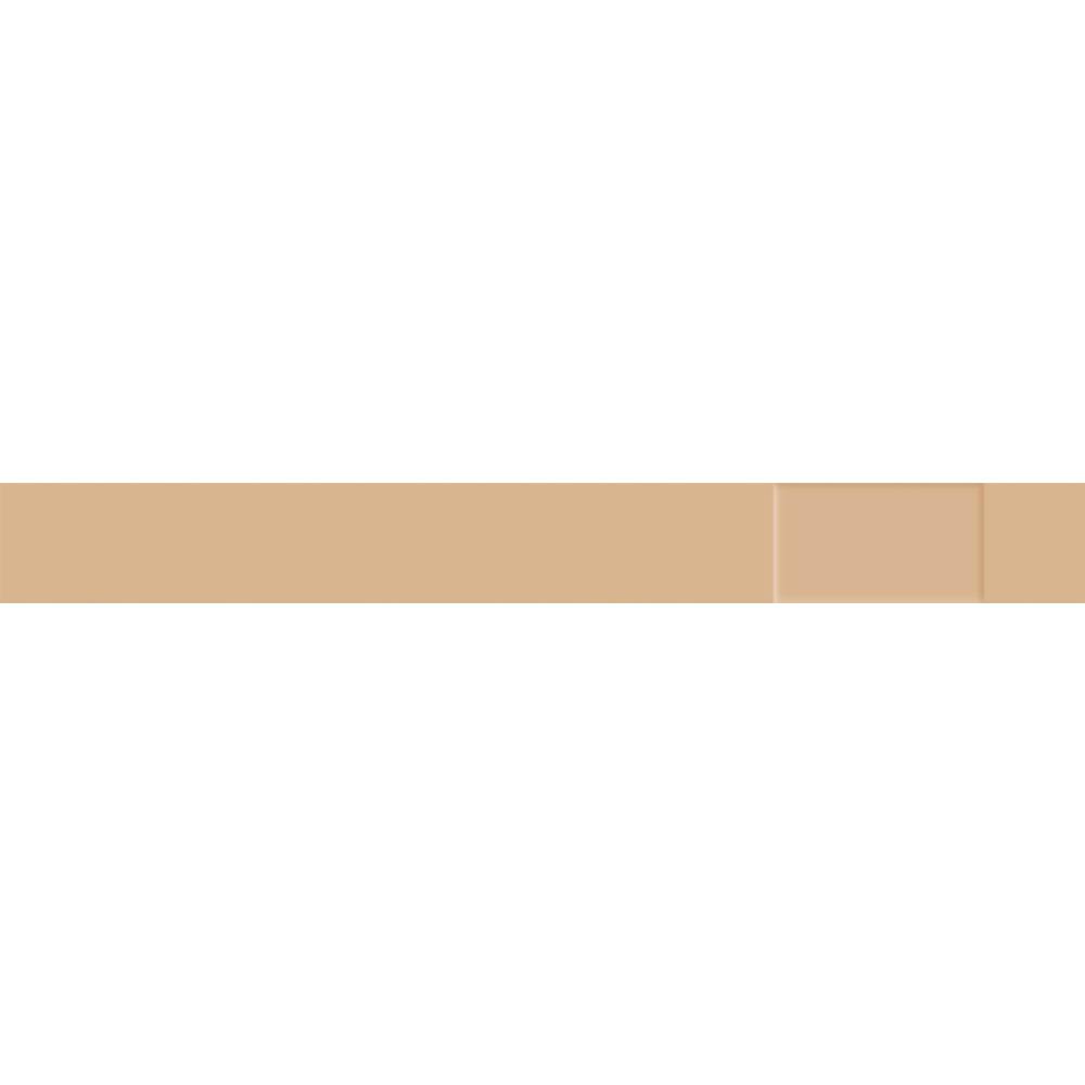 Protectaplast Universal hautfarbene PE-Pflaster 180 x 20 mm (100 Stück)