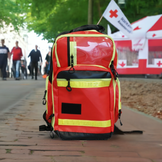 Catobag Rucksack 500 h x 350 b x 250 t mm rot 0304027201