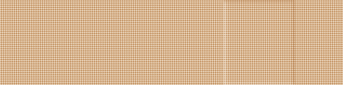 Protectaplast Elastische hautfarbene Pflaster Textil 120 x 30 mm (100 Stück)