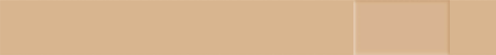 Protectaplast Universal huidskleurige PE pleisters 180 x 20 mm (100 stuks)