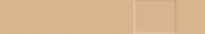 Protectaplast Universal huidskleurige PE pleisters 120 x 20 mm (100 stuks)