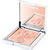Sisley Palette L’Orchidée Sisley Palette L’Orchidée