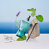 Jean Paul Gaultier Le Male Eau de Toilette Jean Paul Gaultier Le Male Eau de Toilette