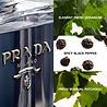 Prada L' Homme Eau de Toilette Prada L' Homme Eau de Toilette