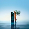 KENZO Kenzo Homme Eau de Toilette KENZO Kenzo Homme Eau de Toilette