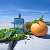 Jimmy Choo Man Aqua Eau de Toilette Jimmy Choo Man Aqua Eau de Toilette