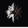 Givenchy L'Interdit Intense Eau de Parfum Givenchy L'Interdit Intense Eau de Parfum