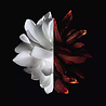 Givenchy L'Interdit Rouge Eau de Parfum Givenchy L'Interdit Rouge Eau de Parfum
