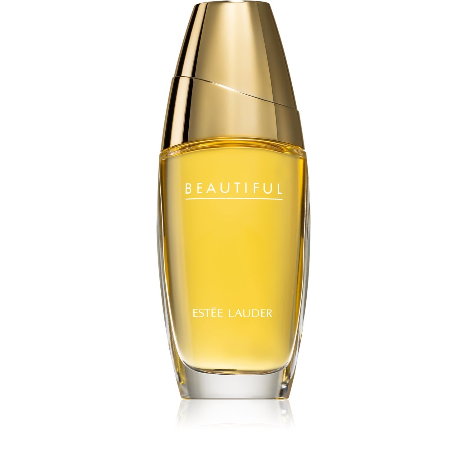 formeel toelage Ambassade Estee Lauder Beautiful Eau de Parfum online kopen | MOOI Parfumerie - MOOI  Parfumerie Vlissingen