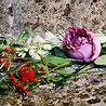 Gucci Bloom Ambrosia di Fiori Eau de Parfum Gucci Bloom Ambrosia di Fiori Eau de Parfum