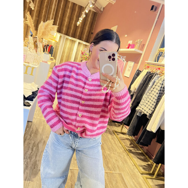 Gavi Vestjes stripe lina