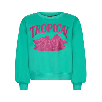 Ydence sweater tropical sea green