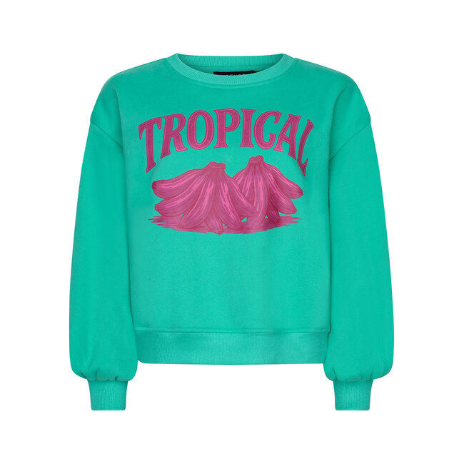 Ydence sweater tropical sea green