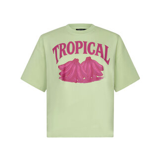 Ydence t-shirt tropcial soft green