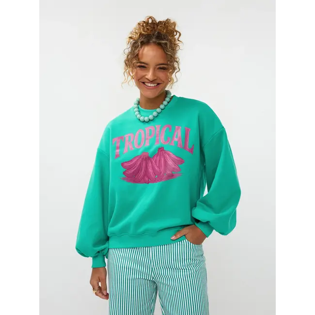 Ydence sweater tropical sea green