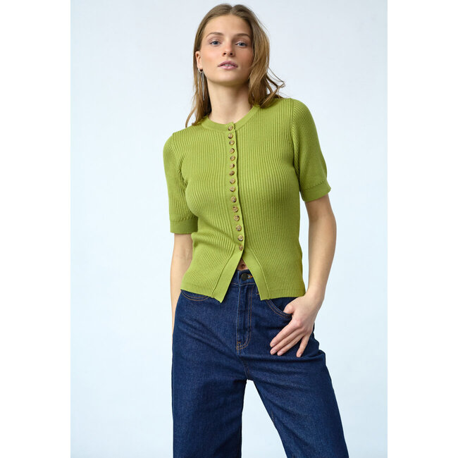 Sisterspoint halia lime green top