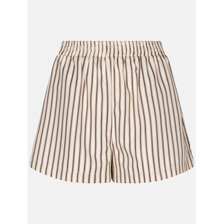 Ydence short beth brown stripe