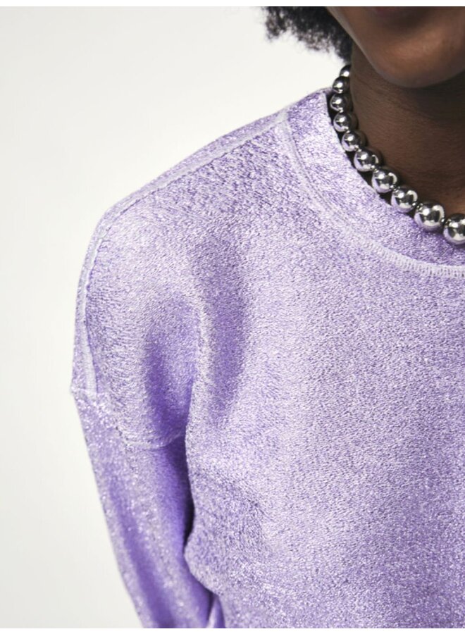 Dante 6 sweater met glitter paars