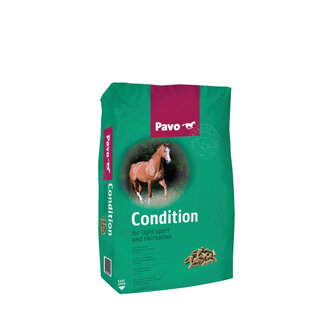 Pavo Pavo Condition