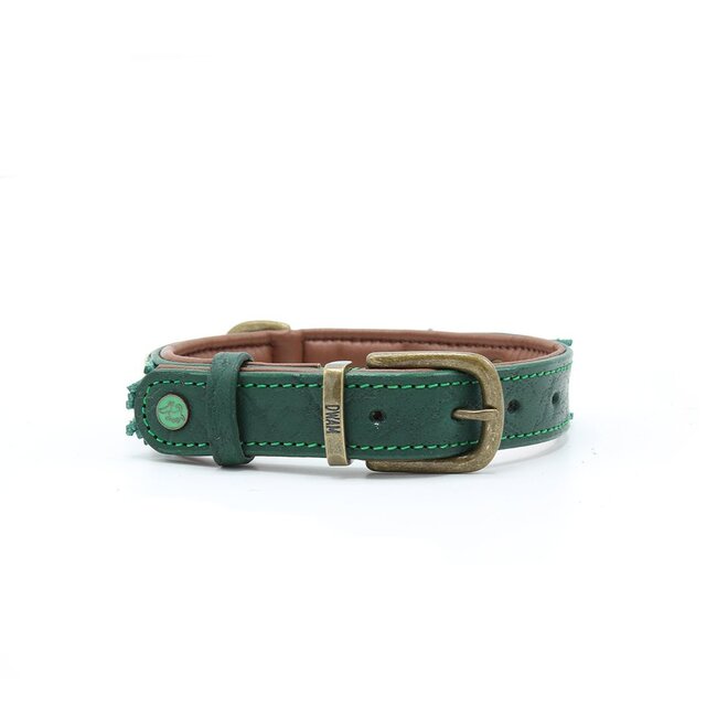 DWAM Halsband Ivy