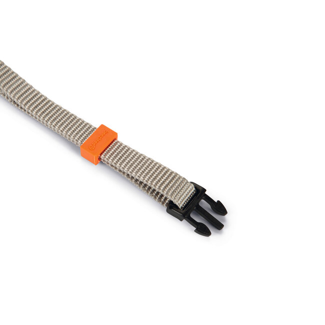 BZ Nylon Halsband Uni  Lichtgrijs