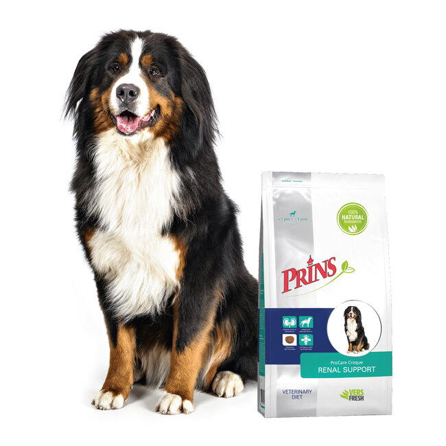 Prins Hond Diet Renal Support Croque