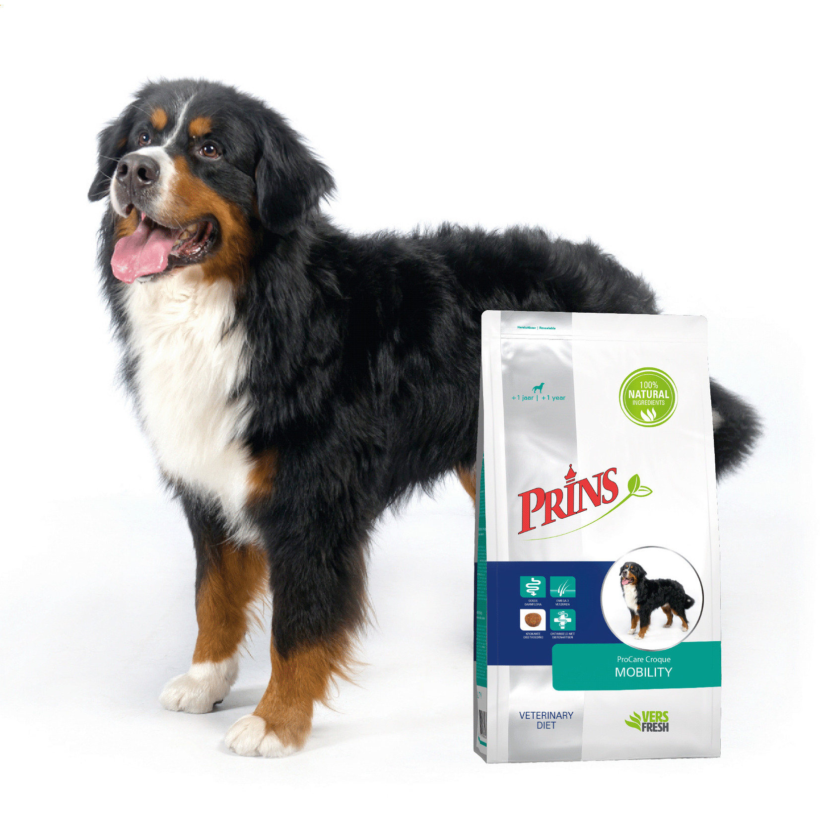 Prins Petfoods Prins Hond Dieet Mobility