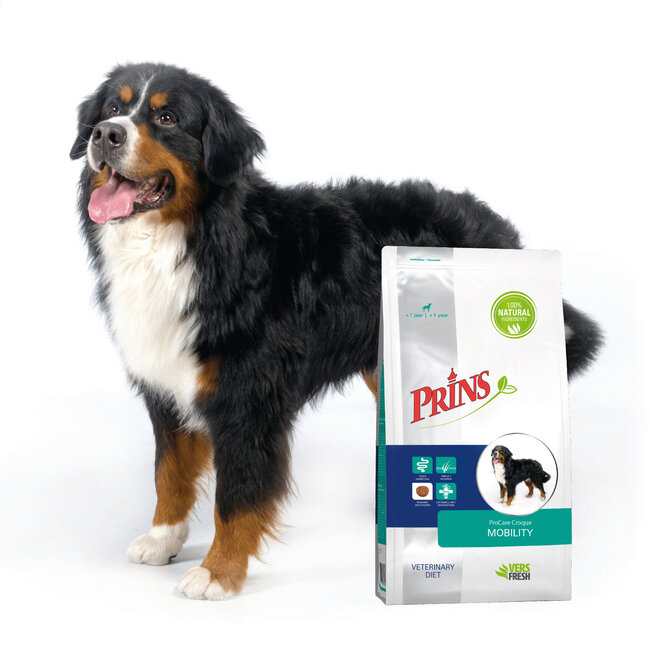 Prins Hond Diet Mobility Croque