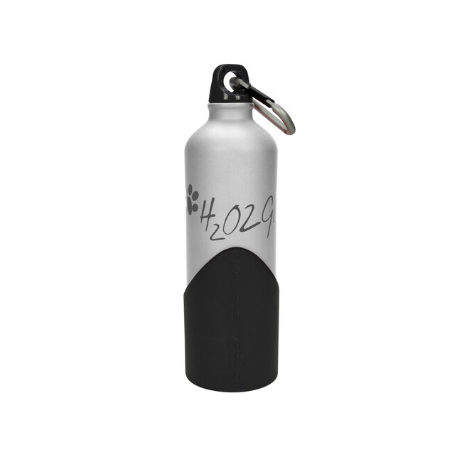 H2O2GO 750 ml