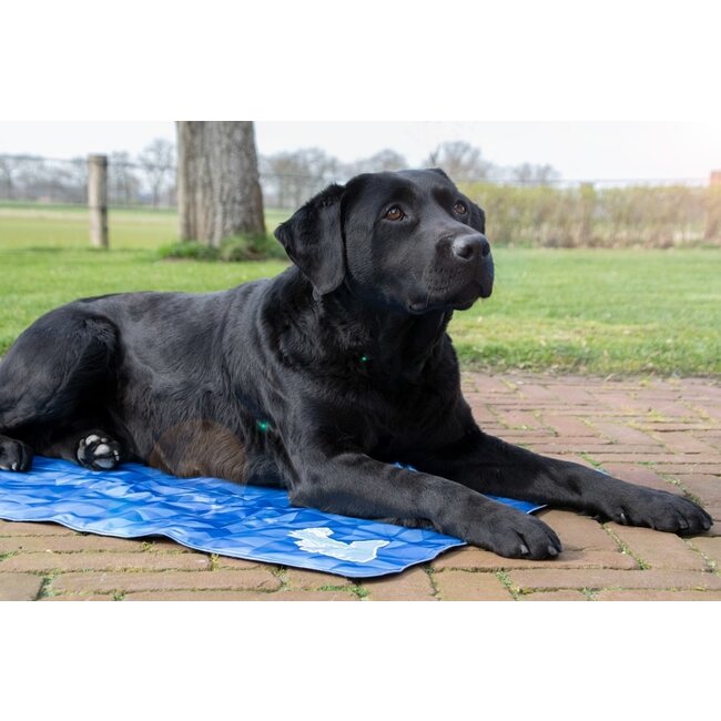 Coolpets Cooling Mat Blauw