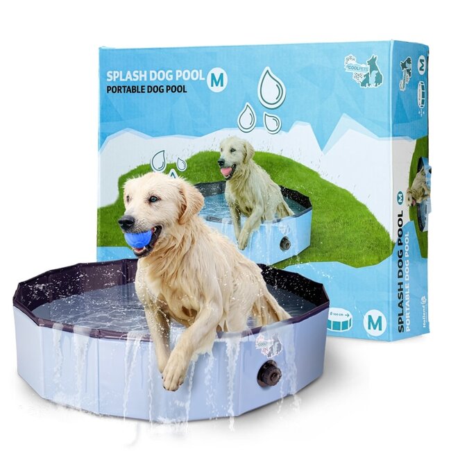 Splash Dog Pool