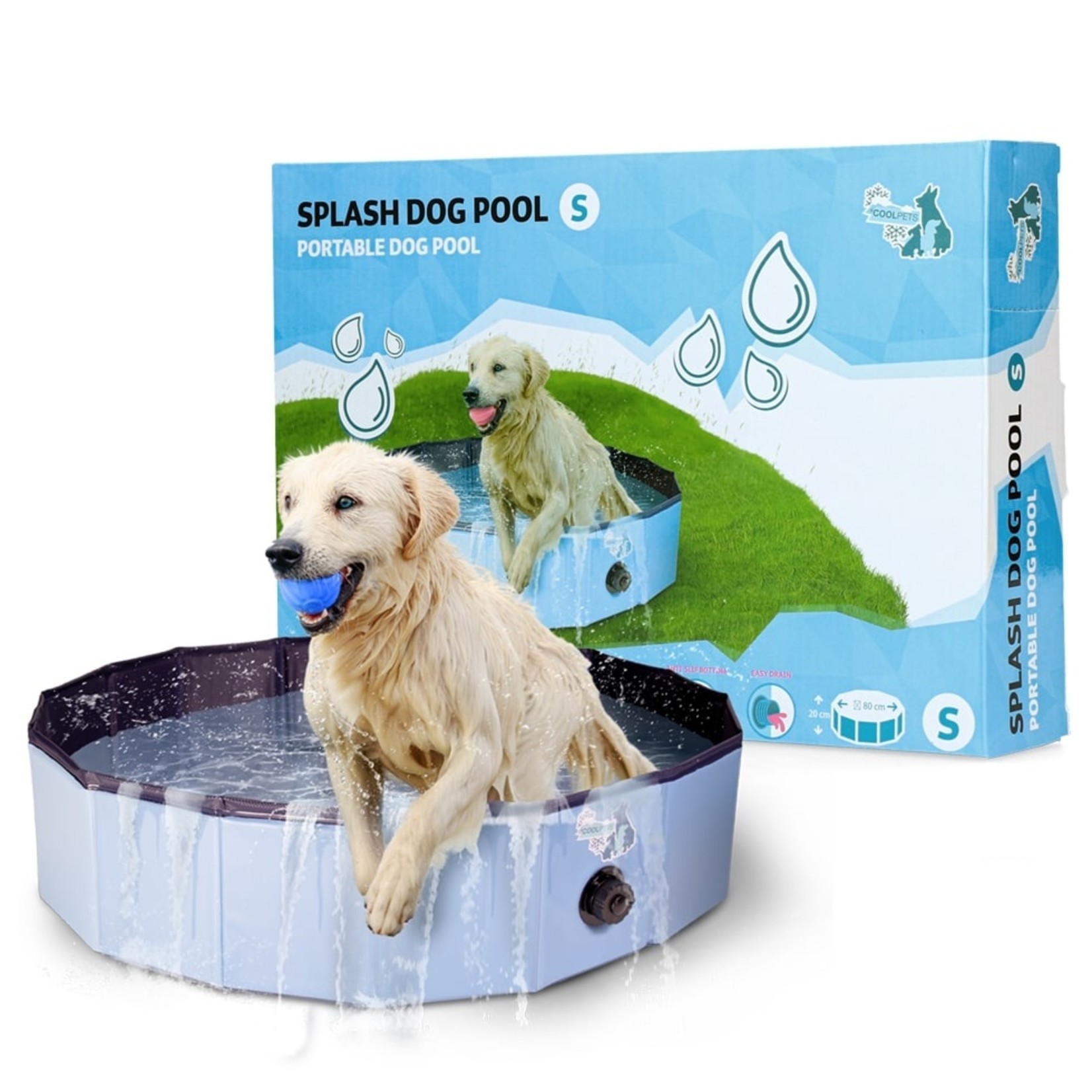 Hofman Splash Dog Pool