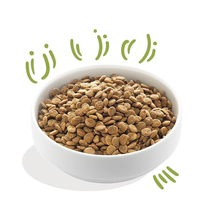 E&C Adult Graslam Medium