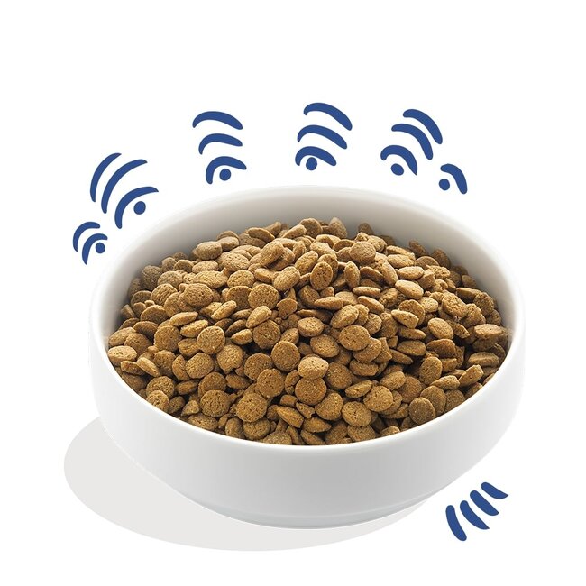 E&C Adult Noorse Zalm