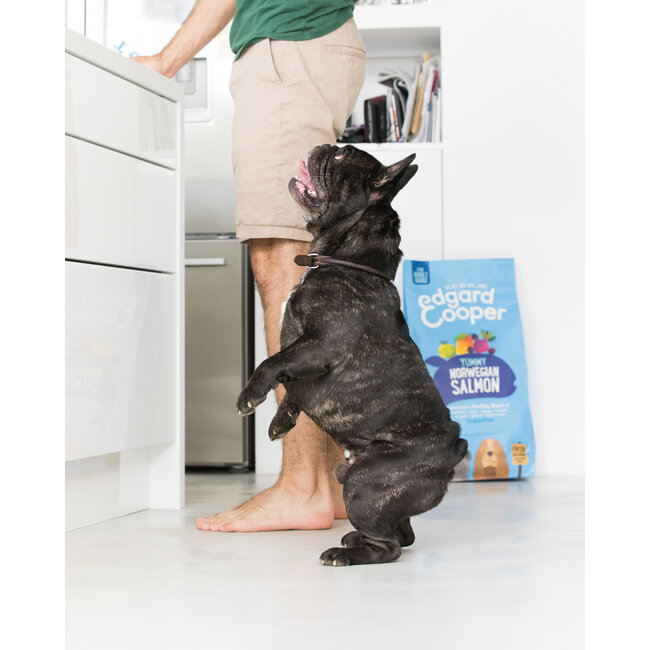 E&C Adult Noorse Zalm