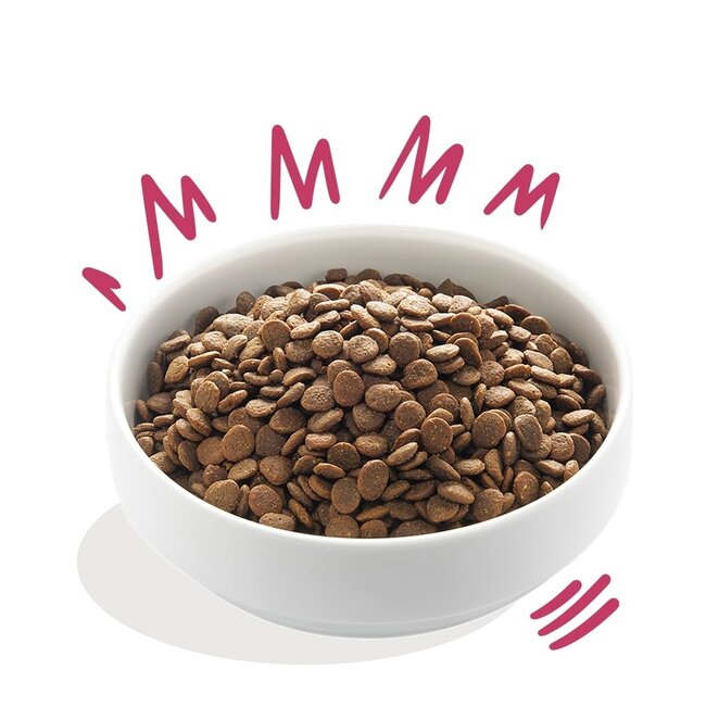 E&C Adult Hert & Scharreleend