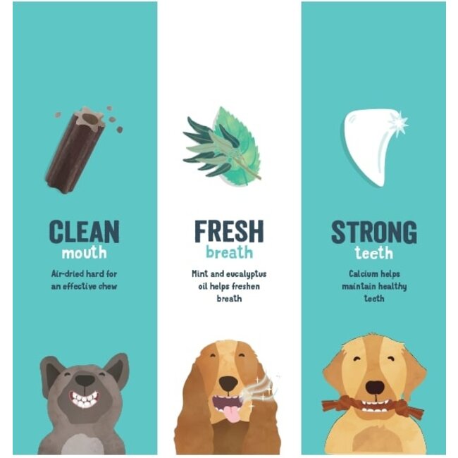 E&C Doggy Dental Apple & Eucalyptus