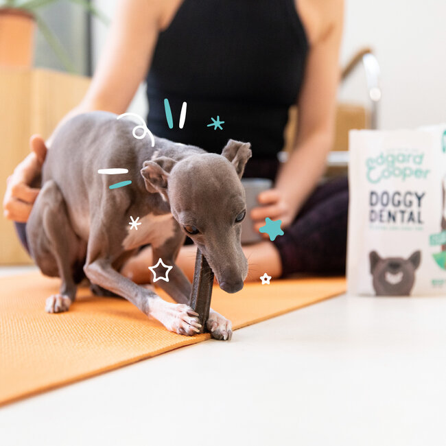 E&C Doggy Dental Strawberry & Mint