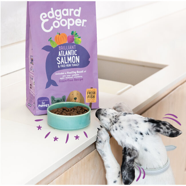 E&C Puppy Zalm & Scharrelkalkoen