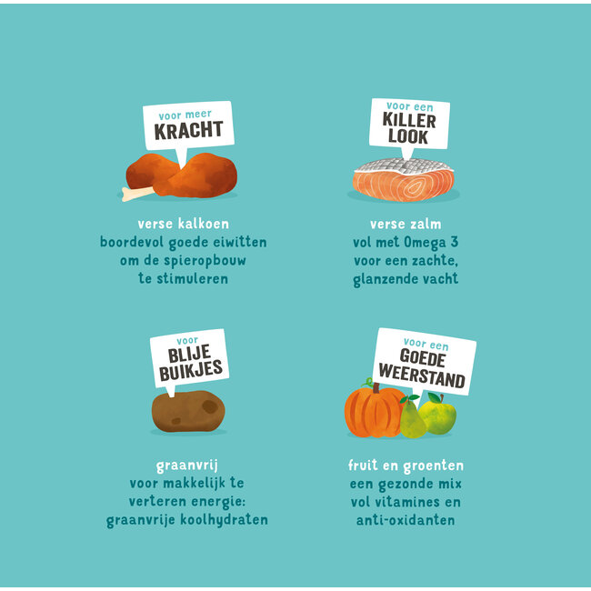 E&C Puppy Zalm & Scharrelkalkoen