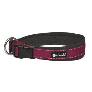 Petlando Outdoor Collar Berry