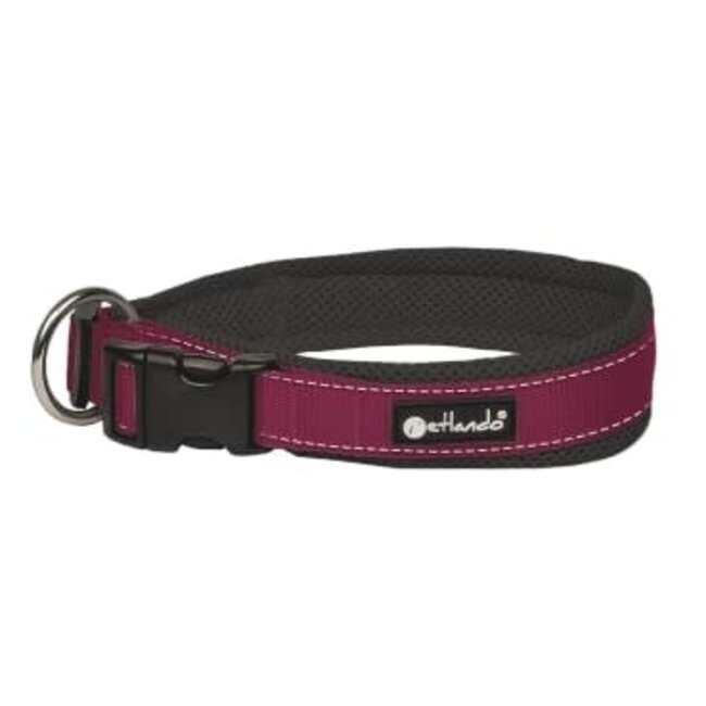 Outdoor Collar Berry